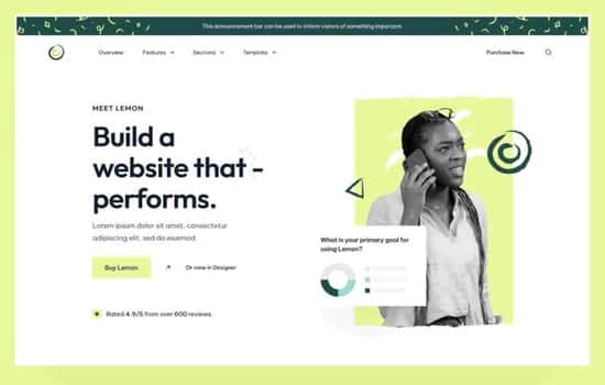 Website Design Services